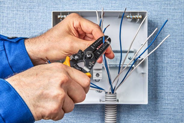 Best Electrical Remodeling Services  in Pinckney, MI